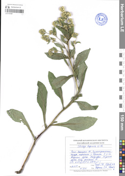 LE 01101897
