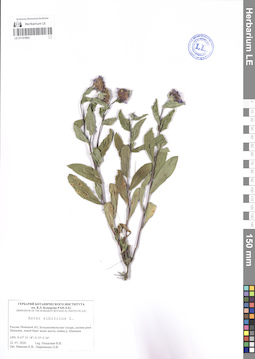 LE 01101902