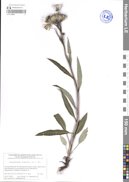 LE 01106085