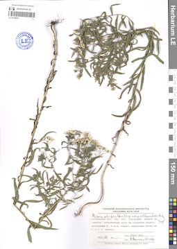 LE 01106221