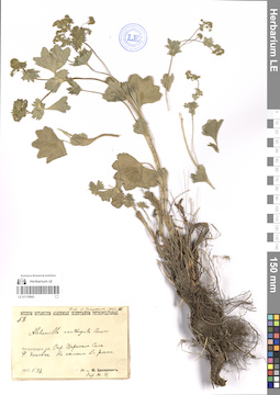 LE 01118943