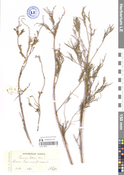 LE 01118979