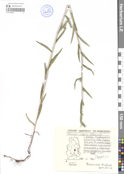 LE 01119225