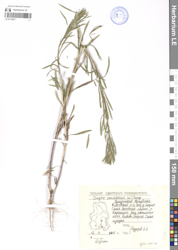 LE 01119277