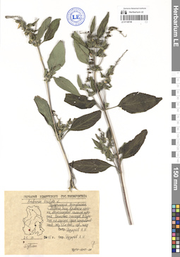 LE 01140749