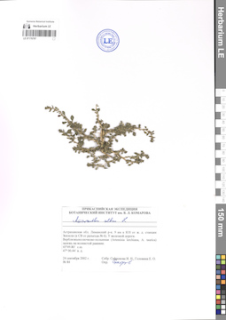 LE 01176797