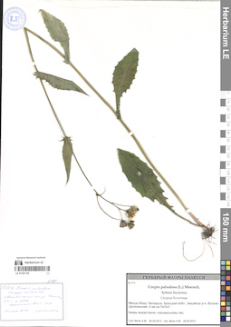 LE 01307128