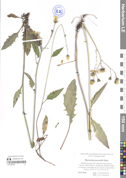 LE 01307144