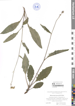 LE 01307154