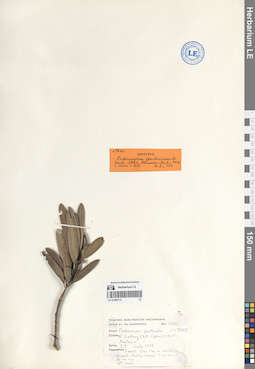 LE 01284113