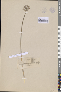 LE 01329459