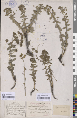 LE 01150433