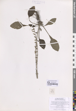 LE 01317023