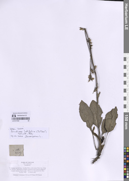 LE 01317024