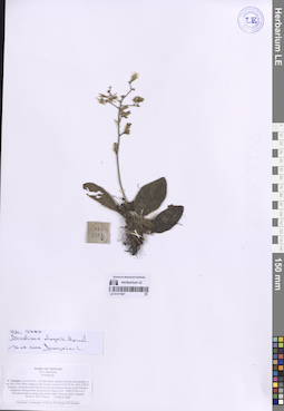 LE 01317027