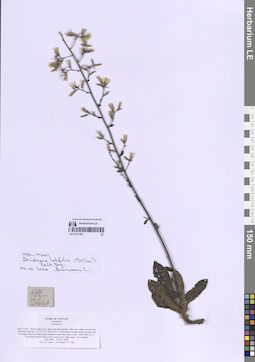 LE 01317401