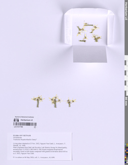 LE 01317780