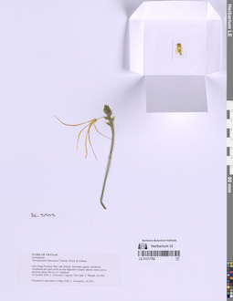 LE 01317782