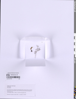 LE 01317787