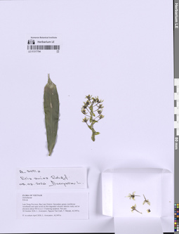 LE 01317794