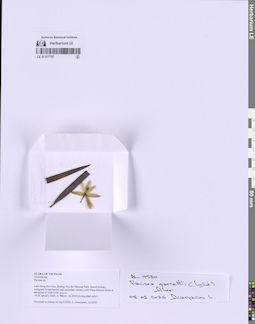 LE 01317797