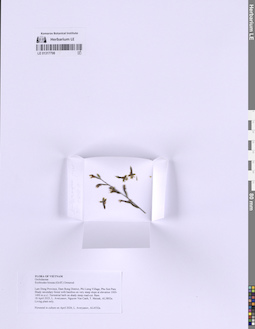 LE 01317798