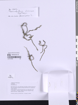 LE 01317800