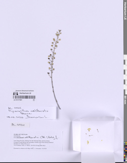 LE 01317801