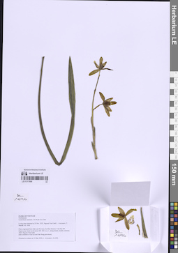 LE 01317806