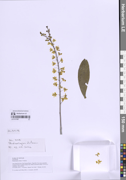LE 01317807