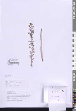 LE 01317809