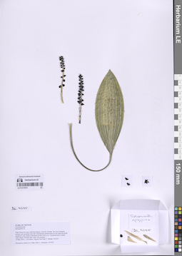LE 01317815
