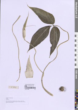 LE 01317820