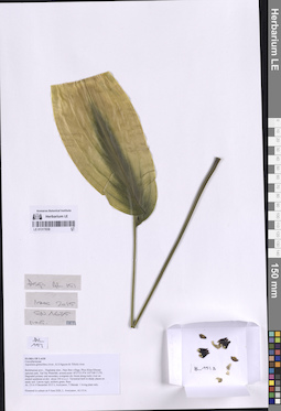 LE 01317838