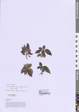LE 01317840