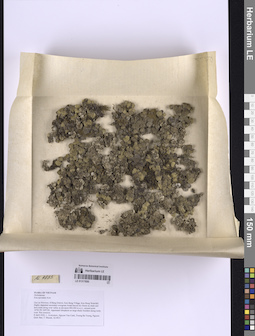 LE 01317850