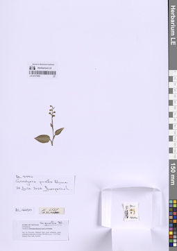 LE 01317853