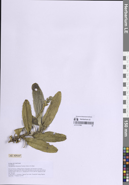 LE 01317866