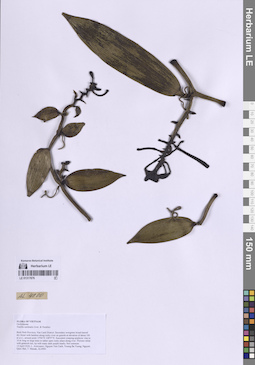 LE 01317876