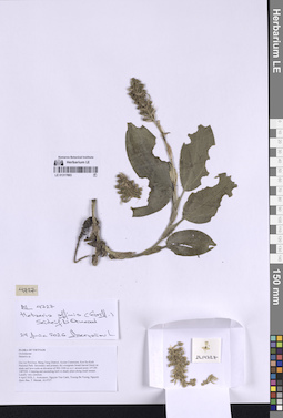 LE 01317883