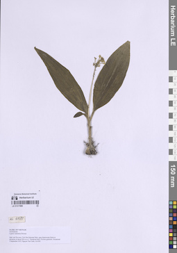 LE 01317886