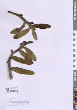LE 01317914