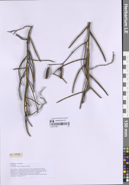 LE 01317921