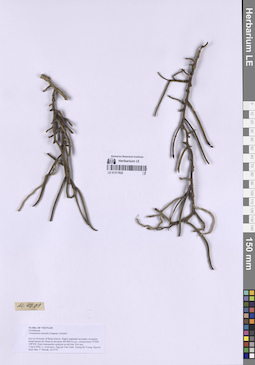 LE 01317922