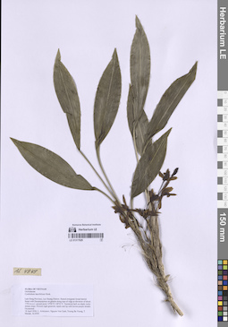 LE 01317929
