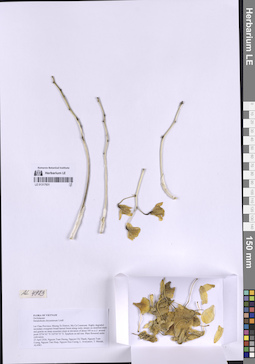 LE 01317931
