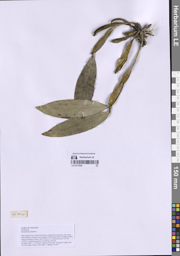 LE 01317936