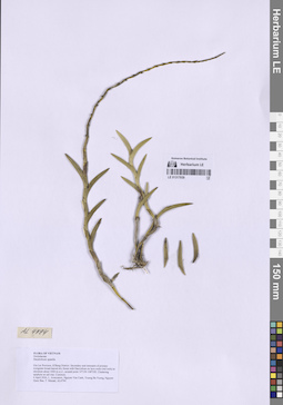 LE 01317939