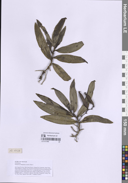 LE 01317945
