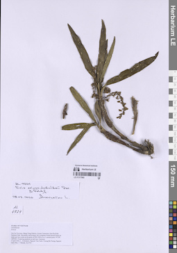 LE 01317960